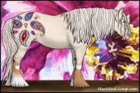 Horse Color:Silver Classic Champagne Dun Splash Frame 