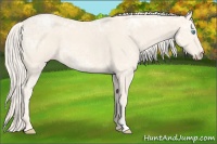 Horse Color:Cremello Ice 