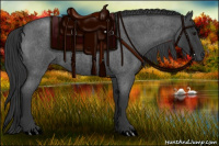 Horse Color:Blue Roan 