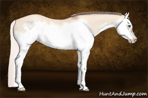 Horse Color:Silver Classic Champagne Dun Splash Frame 