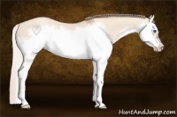 Horse Color:Silver Classic Champagne Dun Splash Frame