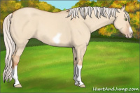 Horse Color:Silver Classic Champagne Dun Splash Frame 