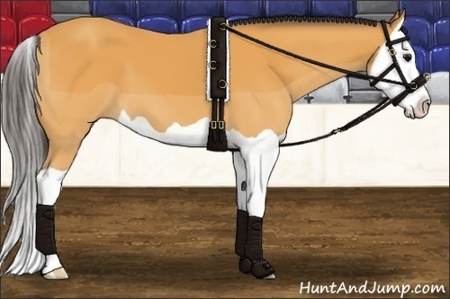 Horse Color: Buckskin Splash 