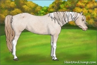 Horse Color:Chestnut Tobiano Varnish 