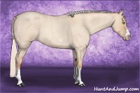 Horse Color:Silver Classic Champagne Roan Dun Splash Frame 