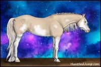 Horse Color:Silver Classic Champagne Dun Splash Frame 