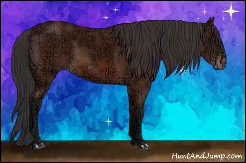 Horse Color: Bay Ice Sabino 