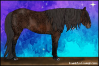 Horse Color:Bay Ice Sabino 