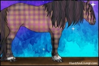 Horse Color:Plaid  Bay 