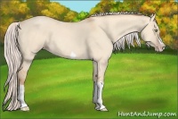 Horse Color:Silver Classic Champagne Roan Dun Splash Frame 