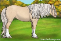 Horse Color:Silver Classic Champagne Dun Splash Frame 