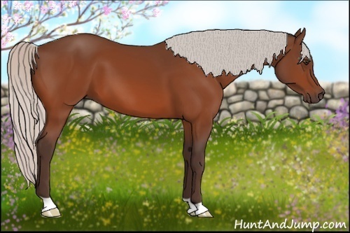 Horse Color:Silver Brown