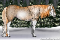 Horse Color:Gray Watercolor Liver Chestnut Ice Sabino Splash 