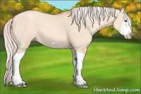 Horse Color:Silver Classic Champagne Dun Splash Frame 