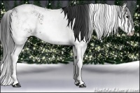 Horse Color:Bay Ice Sabino 