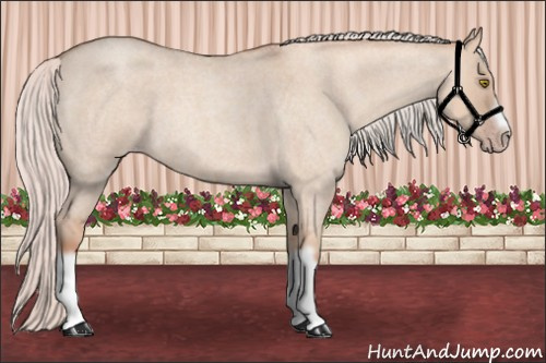 Horse Color: Silver Classic Champagne Roan Dun Splash Frame 
