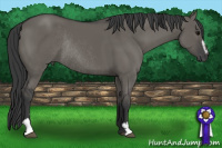 Horse Color:Grullo Sabino Rabicano