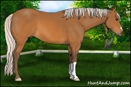 Horse Color: Silver Buckskin 