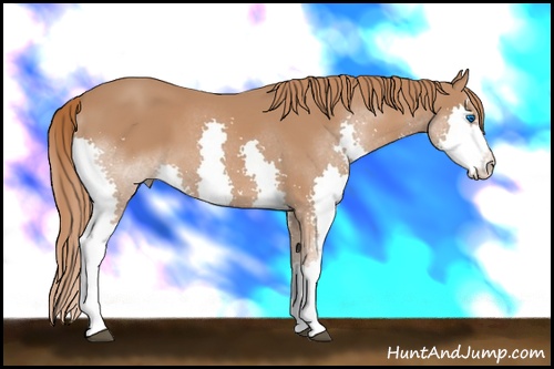 Horse Color: Chestnut Splash 
