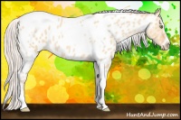 Horse Color:Silver Amber Champagne Roan Dun Splash Tobiano Frame Appaloosa Rabicano