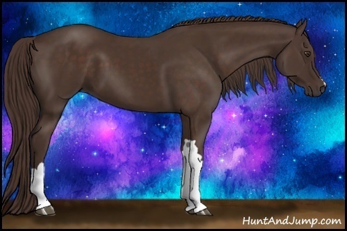 Horse Color: Liver Chestnut 
