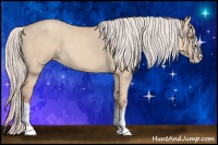 Horse Color:Silver Classic Champagne Dun Splash Frame 