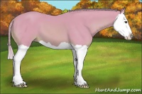 Horse Color:Watercolor Palomino Splash