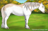 Horse Color:Silver Classic Champagne Dun Splash Frame 
