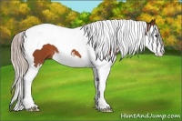 Horse Color:Silver Bay Sabino Splash Tobiano 