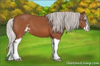 Horse Color:Silver Bay Sabino Splash 