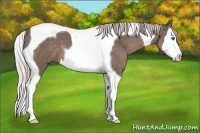 Horse Color:Silver Black Splash Tobiano 