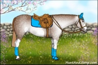 Horse Color:Gray Chestnut 