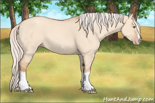 Horse Color: Silver Classic Champagne Dun Splash Frame 