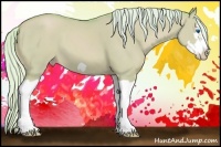 Horse Color:Watercolor Silver Classic Champagne Dun Splash Frame