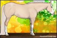 Horse Color:Silver Amber Champagne Dun Splash 