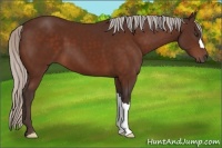 Horse Color:Silver Brown 