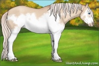 Horse Color:Silver Classic Champagne Dun Splash Frame 