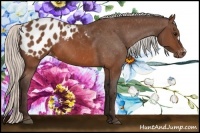 Horse Color:Silver Brown Blanket 