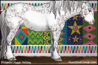 Horse Color:Brown Roan Frame Appaloosa 