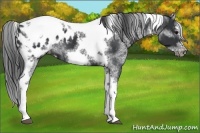 Horse Color:White Spotted Black Splash Tobiano Frame Blanket 