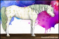 Horse Color:Plaid  Sable Cream Champagne Pearl Blanket 