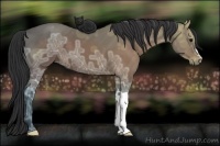 Horse Color:Brown Ice 