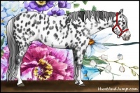 Horse Color:White Spotted Black Splash Frame Near Leopard 