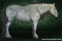 Horse Color:ERROR: UNKNOWN ANOMALY Brindle