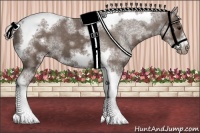 Horse Color:White Spotted Silver Black Splash Tobiano Frame Varnish 
