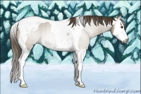 Horse Color:Gray Smoky Grullo Roan Splash Tobiano Blanket