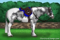 Horse Color:White Spotted Black Splash Tobiano Frame Blanket 
