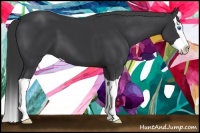 Horse Color:Black Splash 