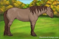 Horse Color:Liver Red Dun 