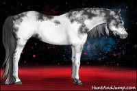 Horse Color:White Spotted Black Frame Rabicano 